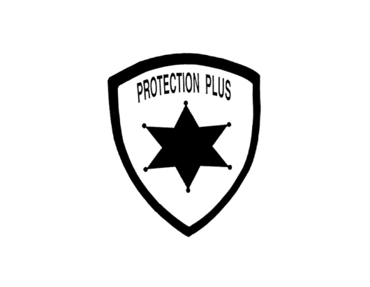 Protection Plus Inc